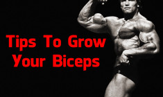 Tips To Grow Your Biceps