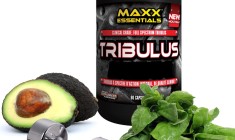 What Is Tribulus?