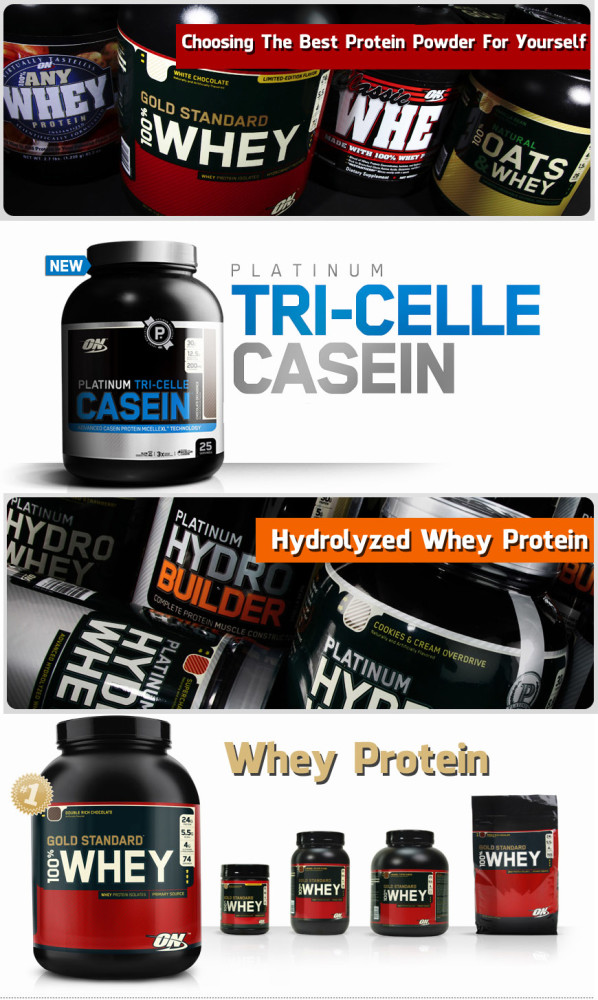 Choosing The Best Protein Powder For Yourself (Low Res)