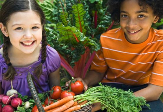 Healthy Kids: Five Healthy Lessons to Teach Your Children