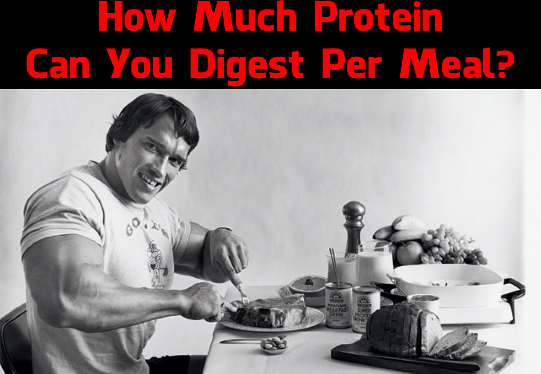 How Much Protein Can You Digest Per Meal? (Video)