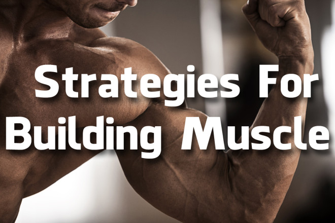 Strategies For Building Muscle 1