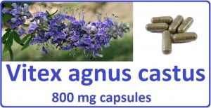 Vitex-Agnus-Castus-Capsules-Button-300x154