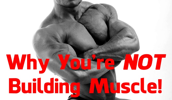 Why You're NOT Building Muscle 1