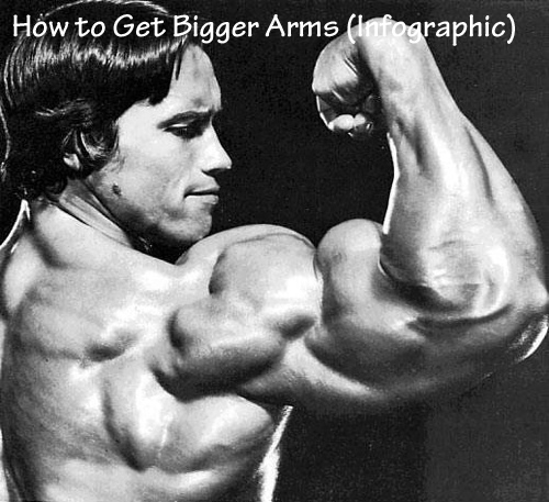 How to Get Bigger Arms (Infographic)