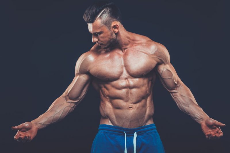 lean muscle 1
