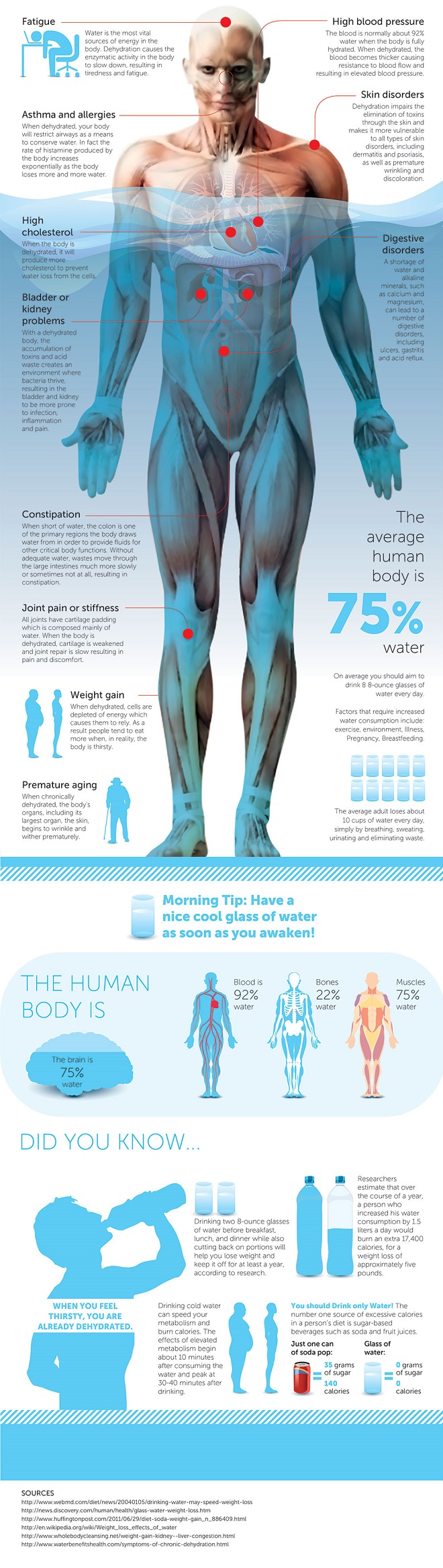 Water Hydration Infographic